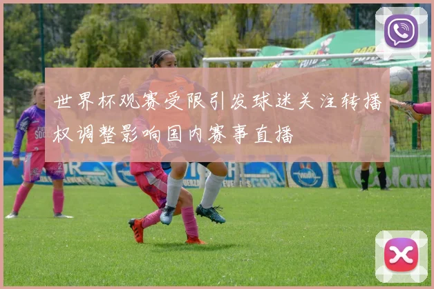 世界杯观赛受限引发球迷关注转播权调整影响国内赛事直播